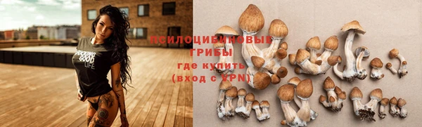 а пвп мука Бронницы